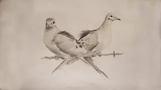 For When You Can't Breathe - Mourning Doves (Lyric Video)