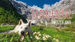 Switzerland - The Hidden Gem Near Gimmelwald Mürren Schilthorn!