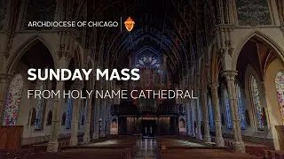Sunday Mass in English from Holy Name Cathedral - 11/3/2024