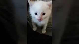 Hi Herbert