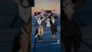 Dancing With The Besti