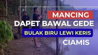 MANCING DAPET IKAN GEDE !!! Pemancingan Bulak Biru Lewi Keris Ciamis