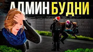АДМИН БУДНИ - ПОЙМАЛА ЧИТЕРА за ХВОСТ | УСТРАНЯЕМ НАРУШИТЕЛЕЙ ► MTA Province #6