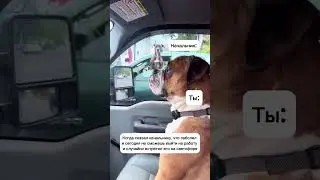 Ржака🤣 #прикол #смешно #юмор #shorts
