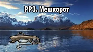 Русская Рыбалка 3 (Russian fishing). Мешкорот. (Квест 
