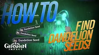Dandelion Seeds Location in Genshin Impact