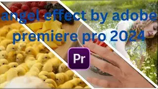 angel effect by adobe premiere pro 2024