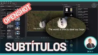 ¿Cómo poner subtítulos a un video? | Con OpenShot