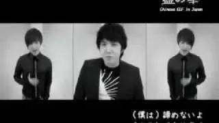 Super Junior Sorry Sorry JAP Ver. CHi SUbs