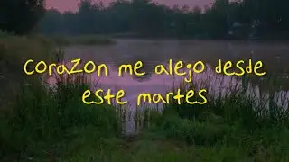 Patio Solar - Los Insectos (Letra) // Lyrics