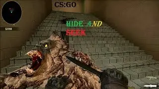 CS:GO-Сегодня днём было смешно