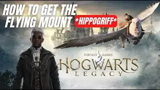 How To Get Flying Mount In Hogwarts Legacy: Hippogriff