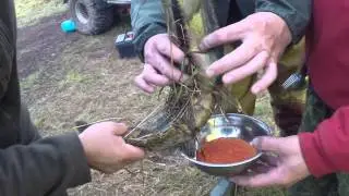 камчатка