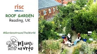 Trees on a roof garden | Vrt na strehi - Reading, UK