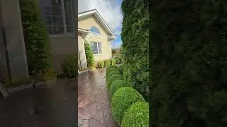 Один интересный сад🏡