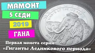 Монета серебро. 5 седи 2019.  Мамонт.  Гана.
