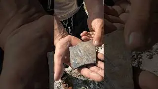 10 Million Year Old Ocean!