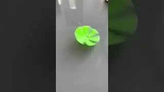 4 февраля 2024 г.