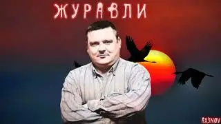 Михаил Круг - Журавли (AX3NOV)