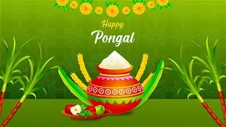 Indian Festival Happy Pongal Wishes Slideshow After Effects Template
