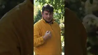 Вред ГМО