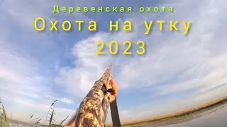 АТА АРМС НЕО 12 .ОХОТА на утку 2023.ВЕЧЕРКА.(hunting)