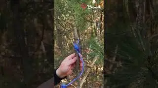 Quick Rabbit Trap!!