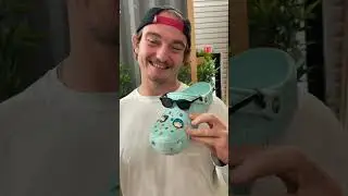 Should we let James do this again?