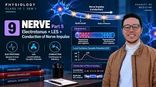 5- Nerve :- Electrotonus + LES + Conduction of nerve impulse