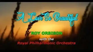 A Love So Beautiful ... Roy Orbison
