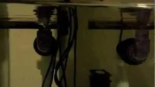 Noisy Reef Tank Drains
