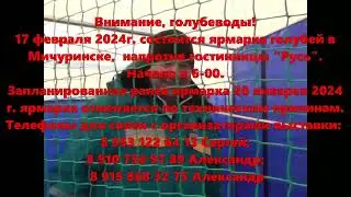 .ярмарка 17.02.24