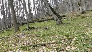 Коп в секретном месте. Интересные находки!