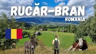 Is This the Most BEAUTIFUL Road Trip in Eastern Europe?