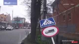 Quand tu n'as pas de cerveau