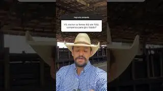 Recria de Fêmeas de 6 a 10 Arrobas: Uma Estratégia Viável para Giro Rápido na Pecuária? #dicas #boi