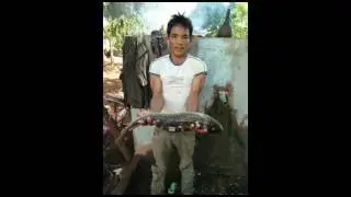Đak glung