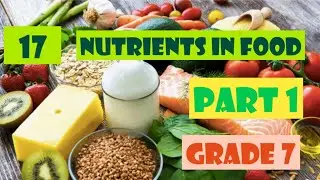 Nutrients in Food| Unit 17| Grade 7| English| Science| Part 1