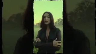 unique FREE BOSS Bundle #videoeffects #overlay #transition   In our store