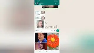 bot para fazer figurinha no whatsapp gratis