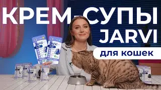 Крем супчики Jarvi для кошек