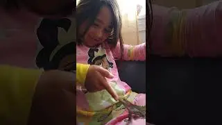 7 year old hand feeding her crested gecko
