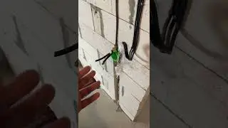 Электрика в двухкомнатной квартире  перед штукатуркой
