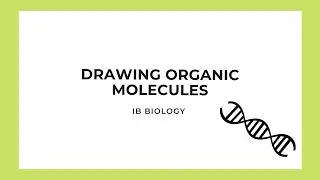 IB Biology: Drawing Organic Molecules