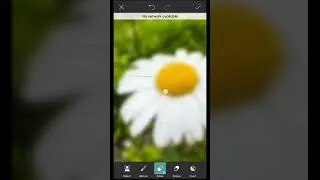 PicsArt Background Blur Photo Editing #shorts #viral