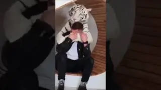 The white tiger loves his friend