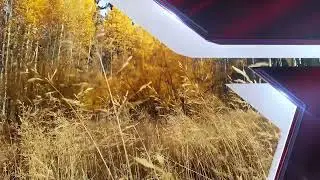 (Оригинал) Заставка (Звезда, 2019-2021 Осень)