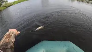 Осенняя щука на вертушку