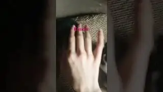 они наконец-то родились