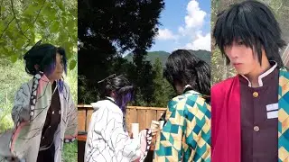 Demonslayer giyuu and shinobu